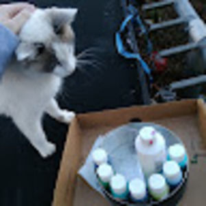 Meet your Posher, Blank